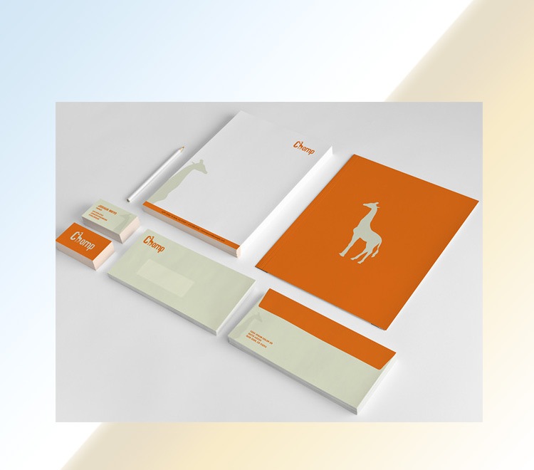 Corporate Stationery Designing