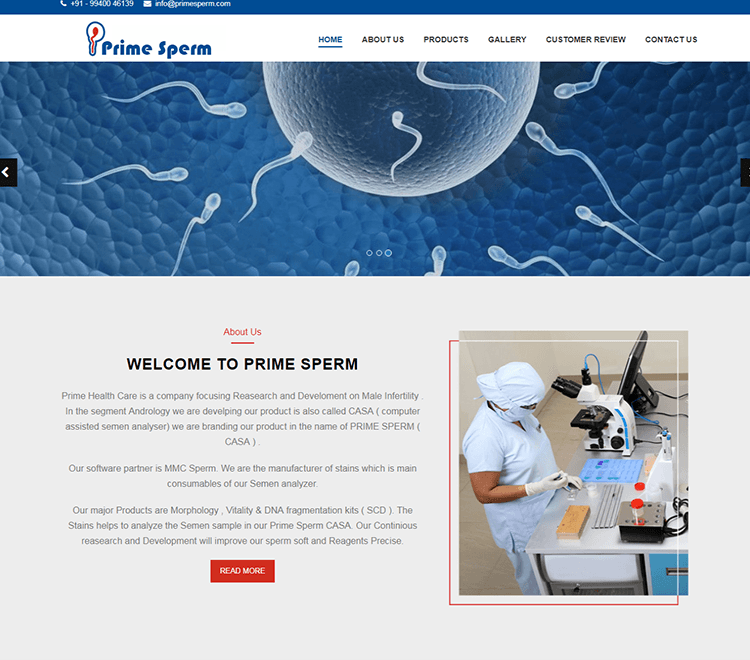 Content Writing Services